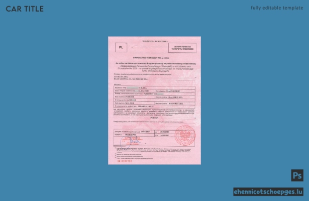 Beispiel für einen polnischen Führerschein